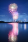 夜に咲く花